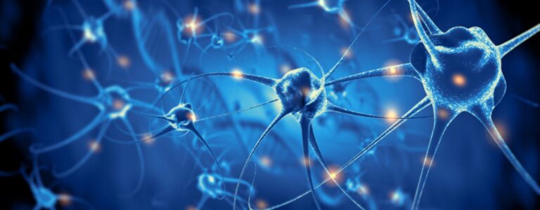 CBD effects on brain, Cannabinoid receptors, Frequently Asked Questions