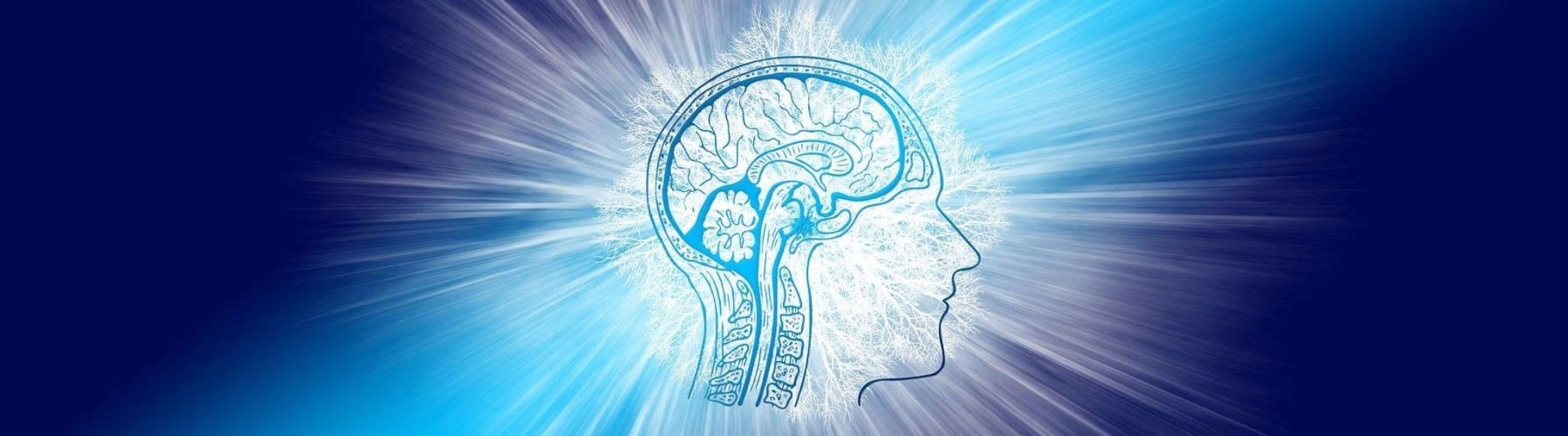 Read more about the article CBD and Its Impact on Brain Function: Unveiling the Science Behind Cannabidiol