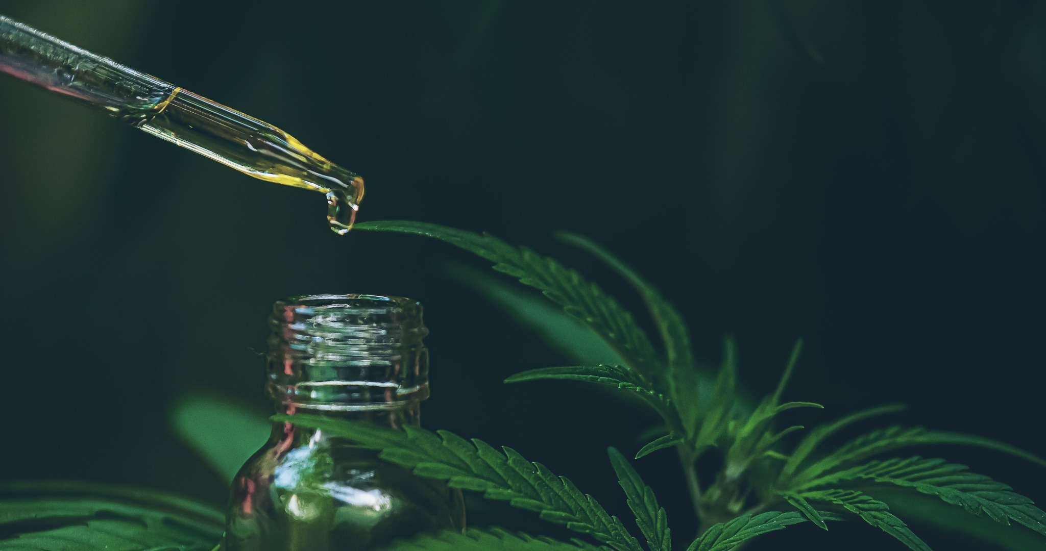 Read more about the article CBD Anti-Inflammation: A Natural Approach to Pain Relief