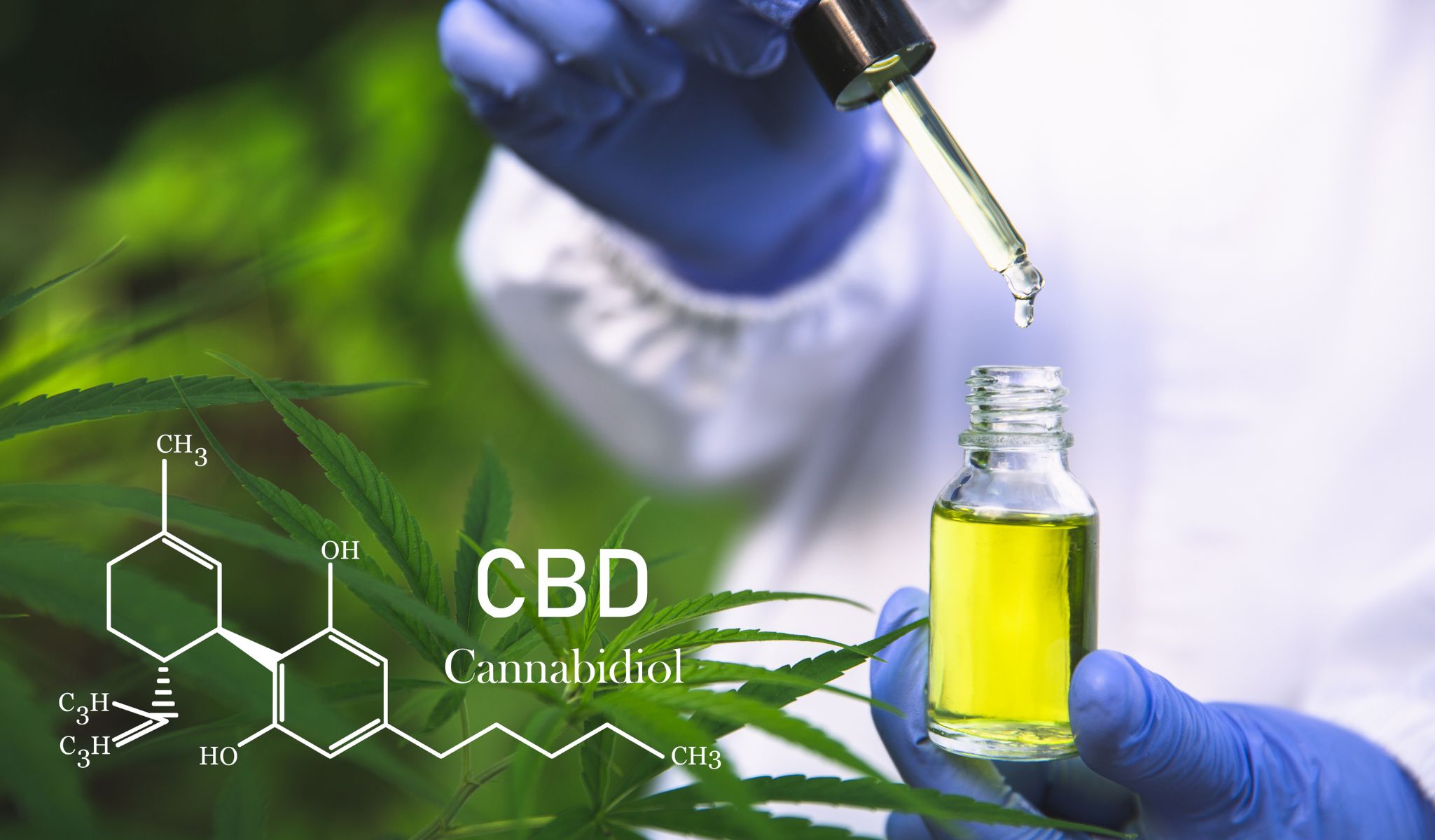 Read more about the article How Long Does CBD Stay in Your System?