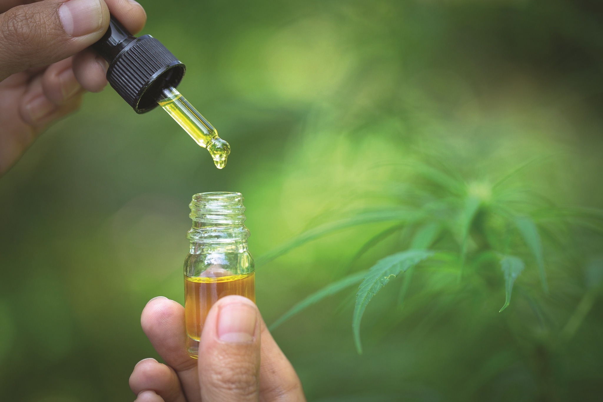 Read more about the article Does CBD Get You High?